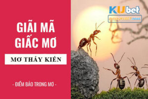 Nằm mơ thấy kiến lửa