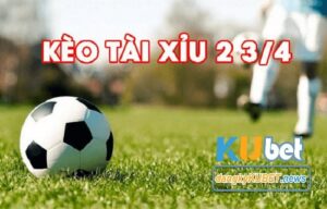 Tai xiu 2 trai 2.5 la sao